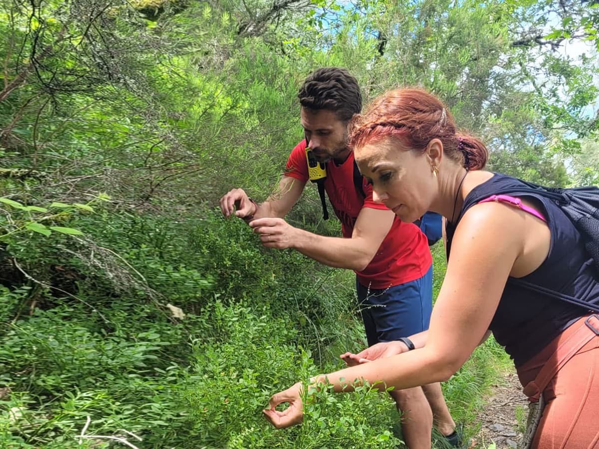 Retiro de salud y descanso en Galicia