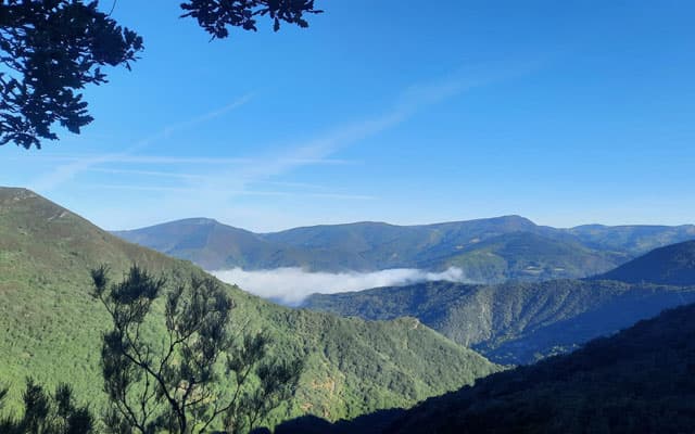 Contactar con Emovere en A Coruña