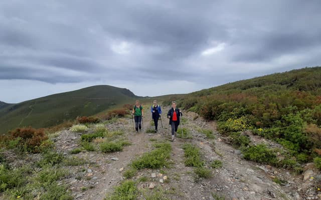 Noticias psiconeuroinmunología