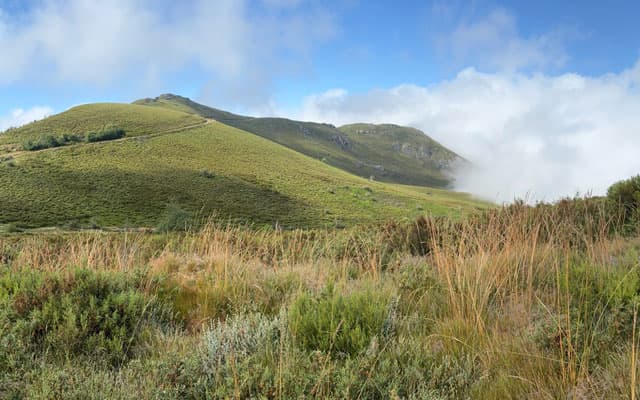 Psiconeuroinmunología en A Coruña