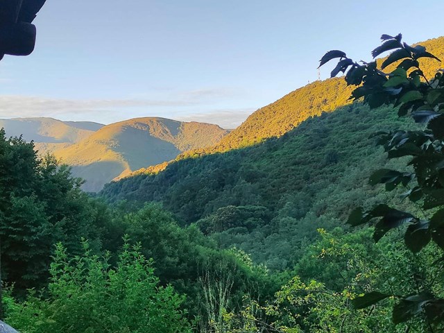 Psiconeuroinmunología en A Coruña para tu bienestar